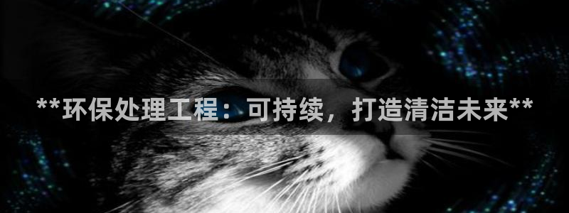 彩名堂开奖结果查询：**环保处理工程