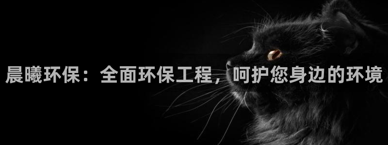 彩名堂计划怎么出的：晨曦环保：全面环