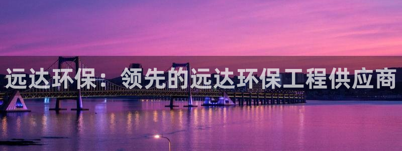彩名堂预测免费计划：远达环保：领先的