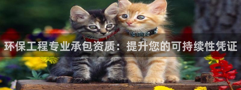 彩名堂为什么突然不能用了：环保工程专