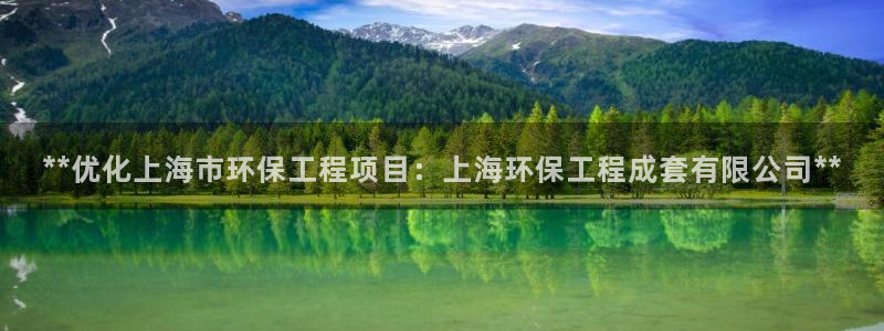 彩名堂改名稻草人了吗：**优化上海市环保工程项目：上海环保工程成套有限公司**