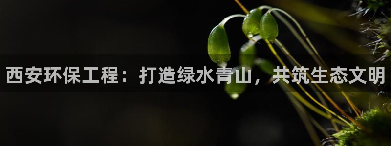 如何进入彩名堂官网更新：西安环保工程