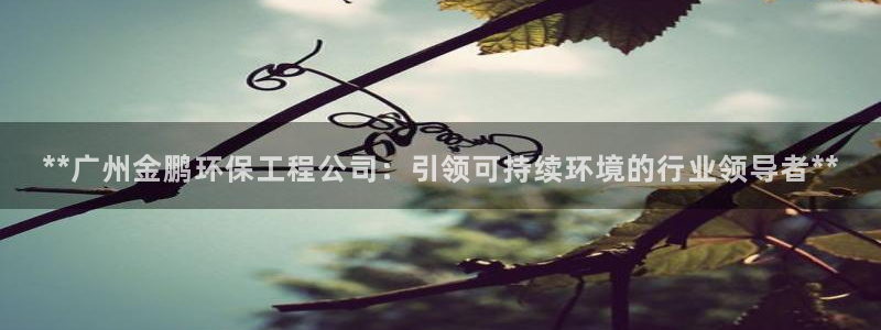 彩名堂计划怎么看：**广州金鹏环保工