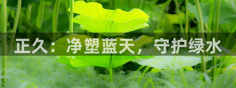 如何进入彩名堂官网更新：正久：净塑蓝