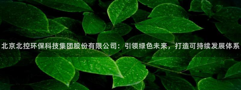 彩名堂拼音怎么拼：北京北控环保科技集