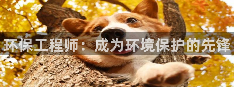 彩名堂怎么买准确率高一点：环保工程师
