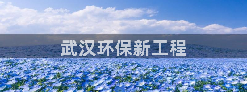 彩名堂客户端是永久免费吗：武汉环保新
