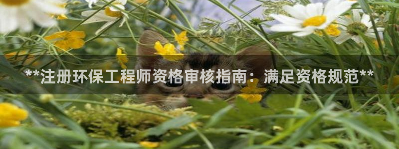 彩名堂官网计划客户端：**注册环保工