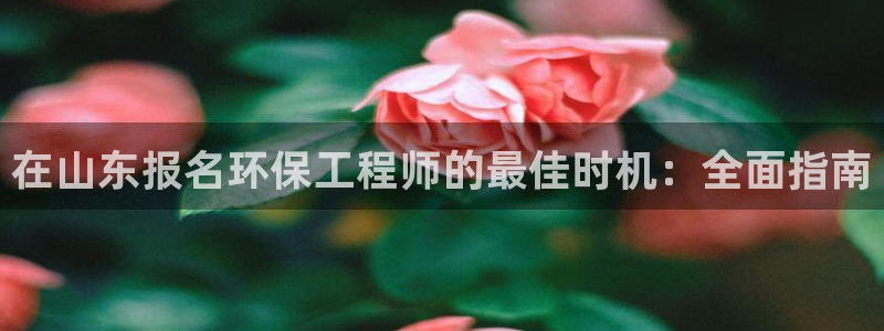 彩名堂为什么打不开：在山东报名环保工