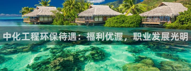 彩名堂预测官网：中化工程环保待遇：福