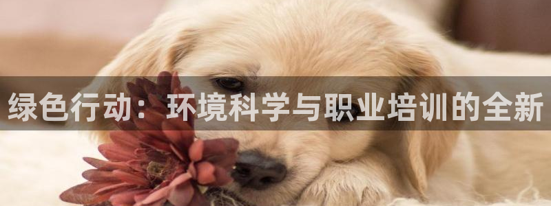 彩名堂怎么不能用了：绿色行动：环境科学与职业培训的全新