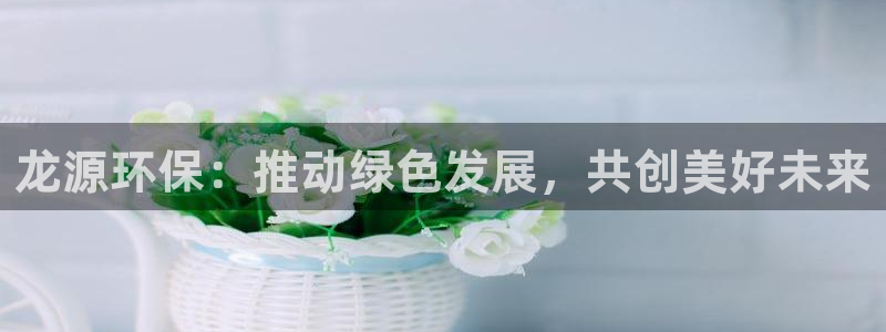 彩名堂官网2：龙源环保：推动绿色发展