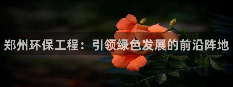彩名堂计划怎么跟不挂：郑州环保工程：