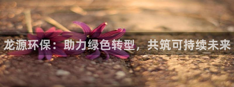彩名堂免费计划官网怎么进不去了呀：龙
