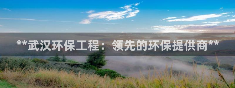彩名堂苹果客户端怎么下载：**武汉环保工程：领先的环保提供商