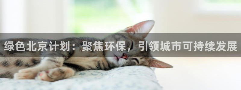 彩名堂客户端官网：绿色北京计划：聚焦