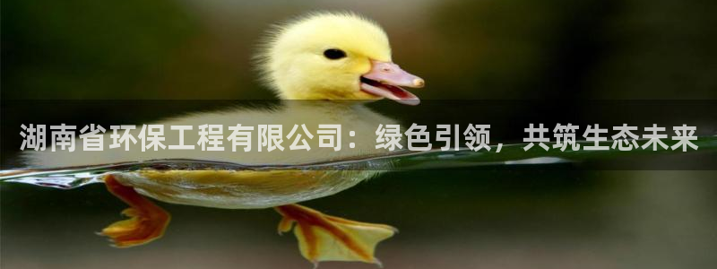 彩名堂官网谁有：湖南省环保工程有限公司：绿色引领，共筑生态未