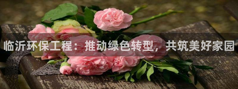 彩名堂官方平台：临沂环保工程：推动绿