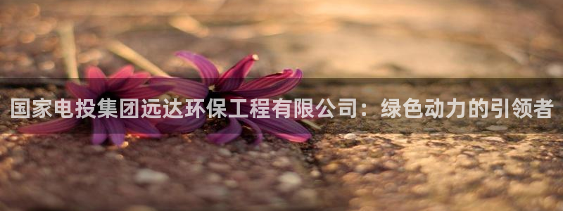 彩名堂加拿大怎么买准确率高：国家电投集团远达环保工程有限公司