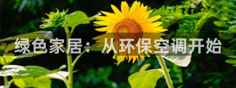 谁知道彩名堂网站是多少：绿色家居：从环保空调开始