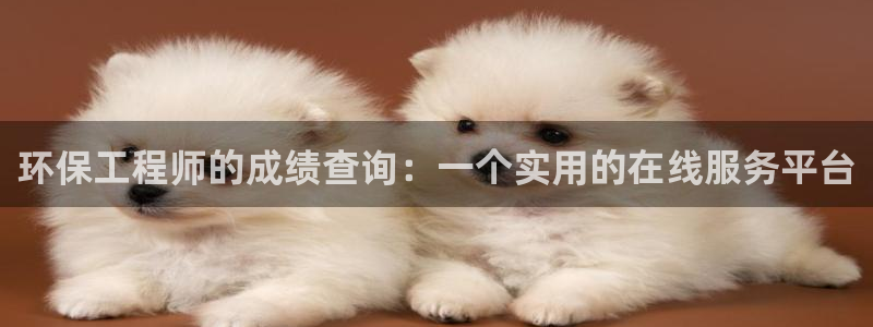谁知道彩名堂网站是多少：环保工程师的