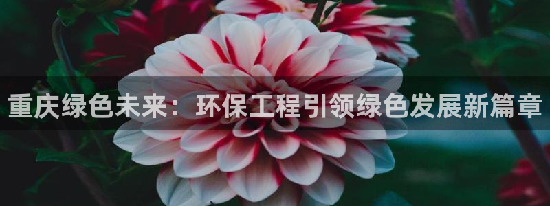 彩名堂拼音怎么拼：重庆绿色未来：环保