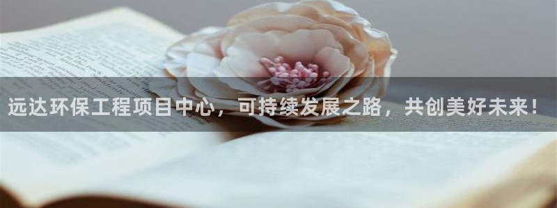 彩名堂还可以用吗：远达环保工程项目中