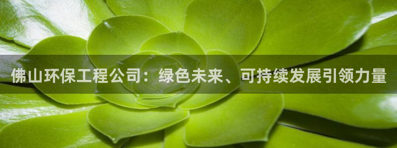 彩名堂使用方法：佛山环保工程公司：绿