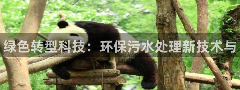 彩名堂苹果客户端怎么下载：绿色转型科