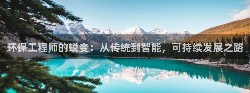 彩名堂一直不出结果怎么回事呢：环保工程师的蜕变：从传统到智能