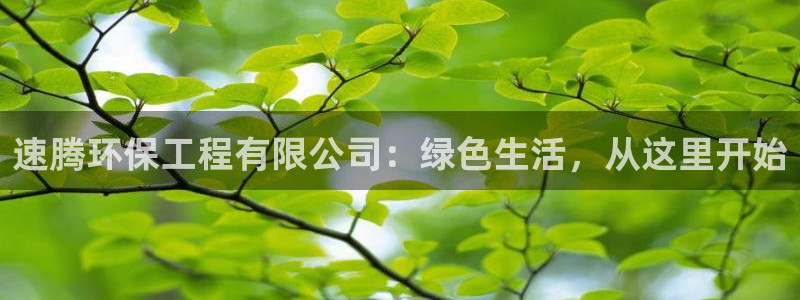 彩名堂客服：速腾环保工程有限公司：绿色生活，从这里开始