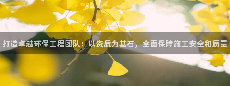 彩名堂怎么用不输：打造卓越环保工程团