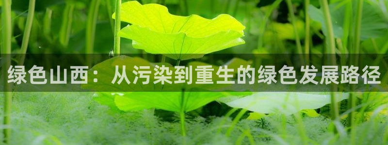 彩名堂是不是坑人的：绿色山西：从污染