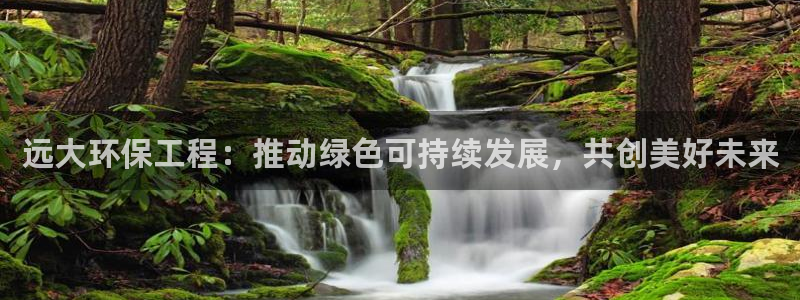 彩名堂官网计划01：远大环保工程：推