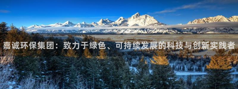 彩名堂计划怎么跟不挂：嘉诚环保集团：