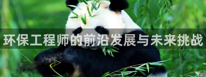 彩名堂app官方下载：环保工程师的前