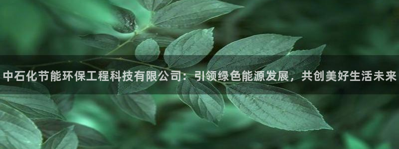 彩名堂官网客户端：中石化节能环保工程