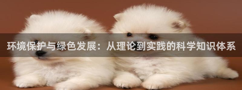 彩名堂怎么用不了了：环境保护与绿色发
