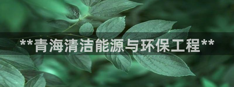 彩名堂怎么选稳定计划：**青海清洁能