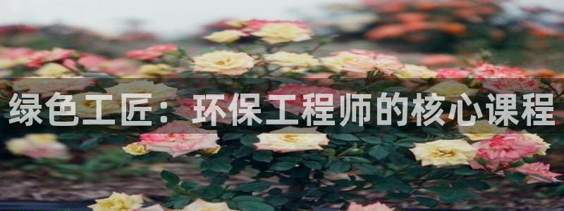 彩名堂怎么样：绿色工匠：环保工程师的