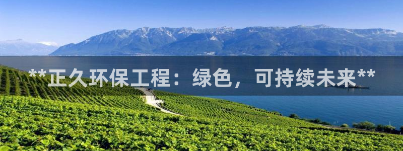 彩名堂免费计划官网怎么进不去了呀：**正久环保工程：绿色，可