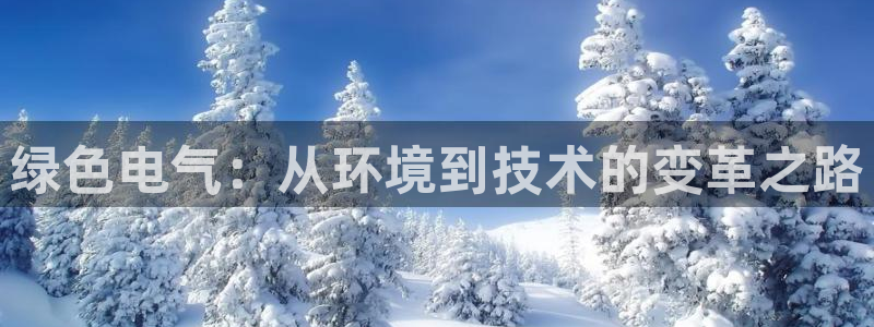 彩名堂是不是坑人的东西：绿色电气：从