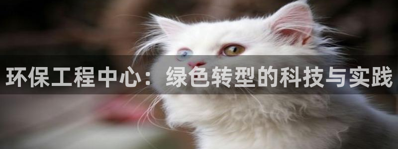 彩名堂怎么打不开了：环保工程中心：绿