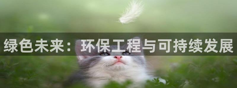 彩名堂二维码：绿色未来：环保工程与可