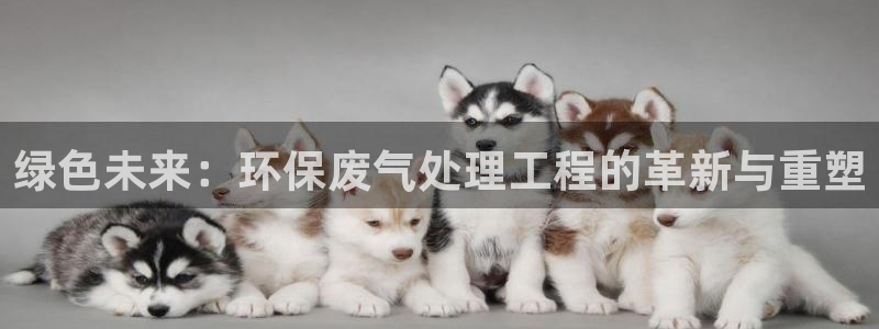 彩名堂改名稻草人了吗：绿色未来：环保