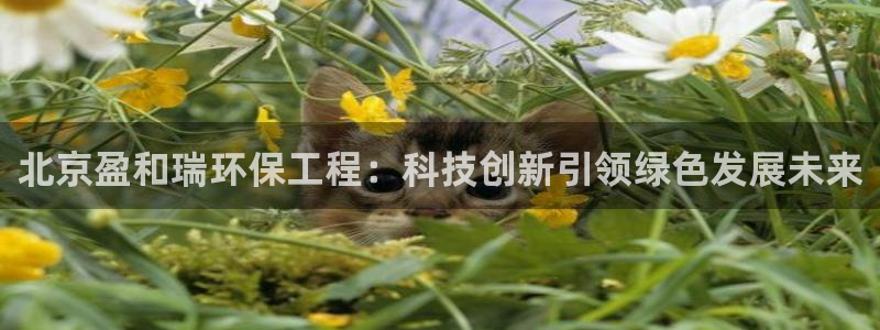 彩名堂和01计划哪个好：北京盈和瑞环