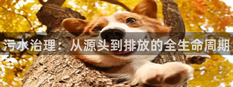 彩名堂官网计划：污水治理：从源头到排