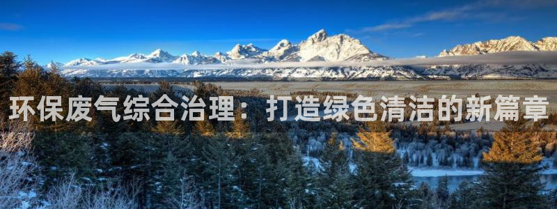 彩名堂App下载：环保废气综合治理：打造绿色清洁的新篇章