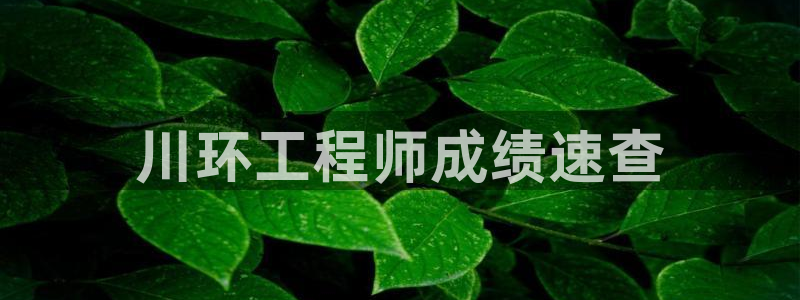 彩名堂官网计划怎么下载：川环工程师成