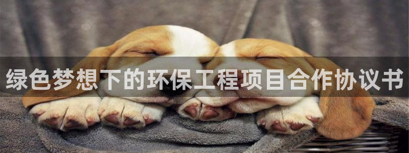 彩名堂客服：绿色梦想下的环保工程项目